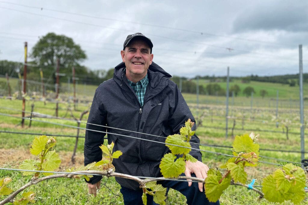 Mark Björnson next to Gouais Blanc grape vines