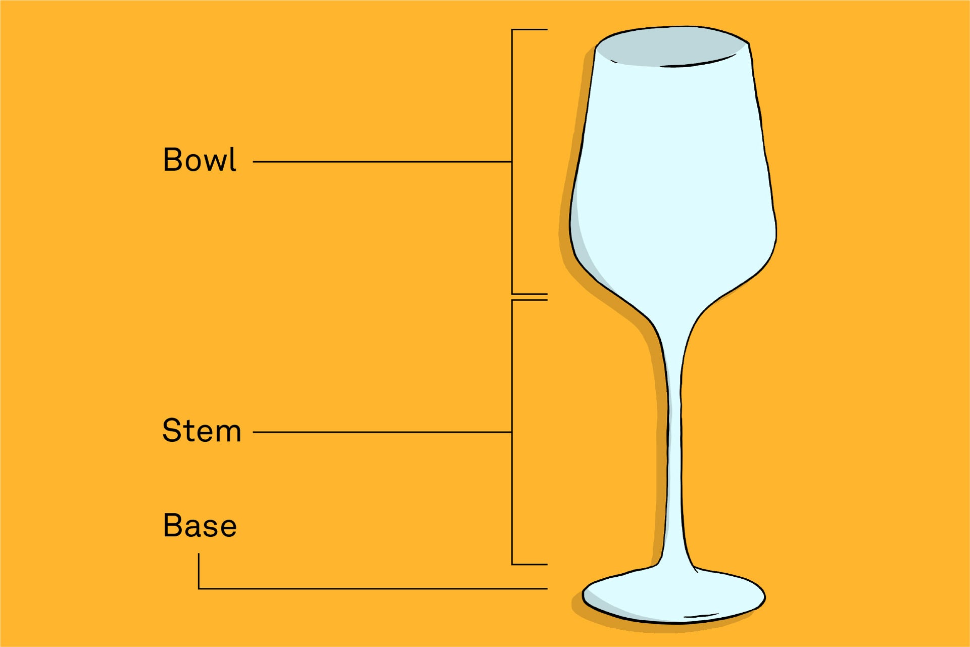 Infographic of Wine Glass Parts